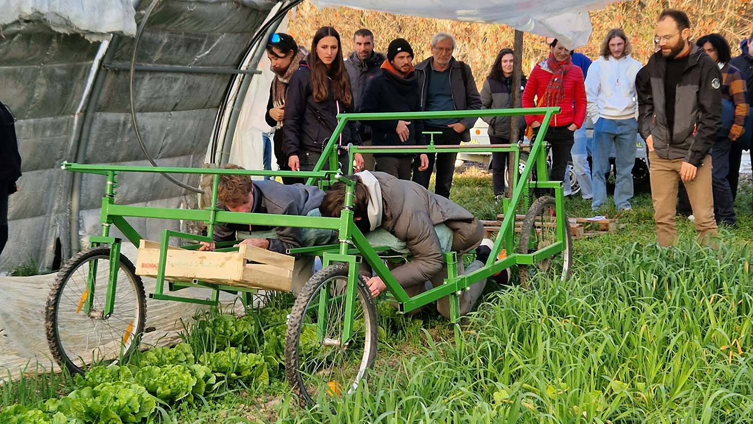 Démonstration de fonctionnement d'un lit de travail agricole en maraîchage