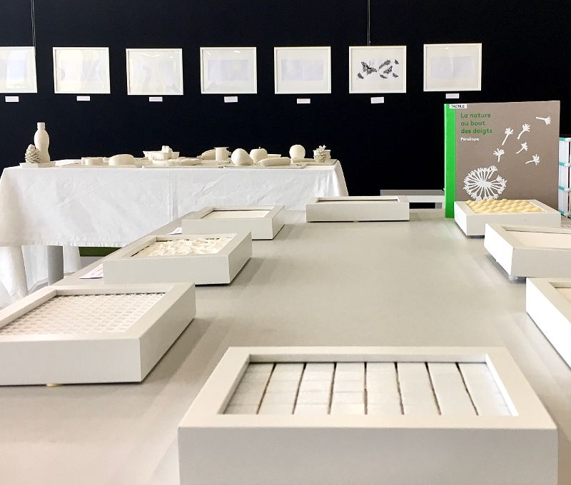 La Nature au bout des doigts, exposition tactile à la Médiathèque