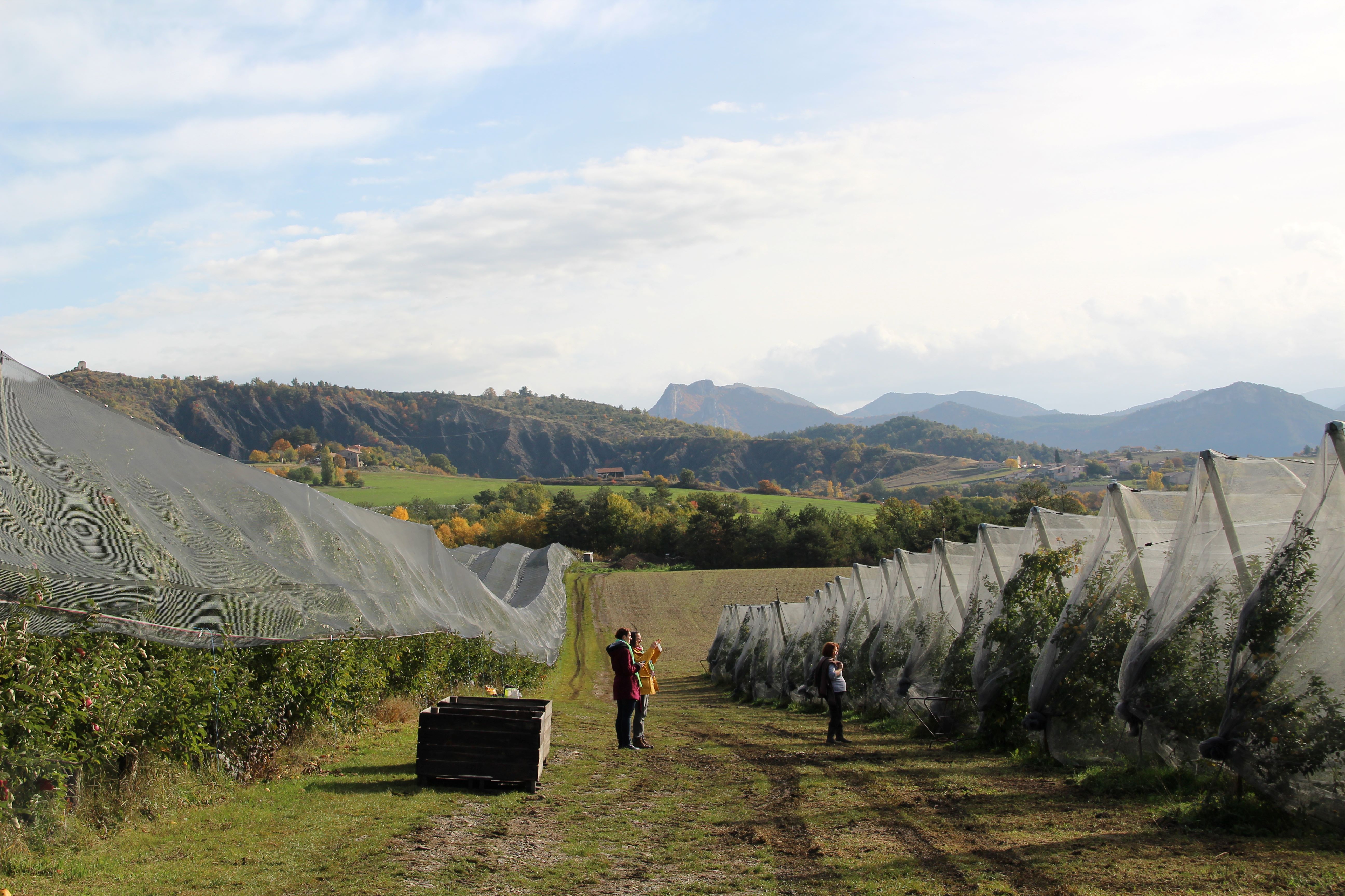 Loco du Bio EP#14 - Famille Megy : Le GAEC de la Maurelle
