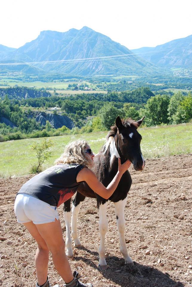Marlène est éleveuse de chevaux : un métier et une passion
