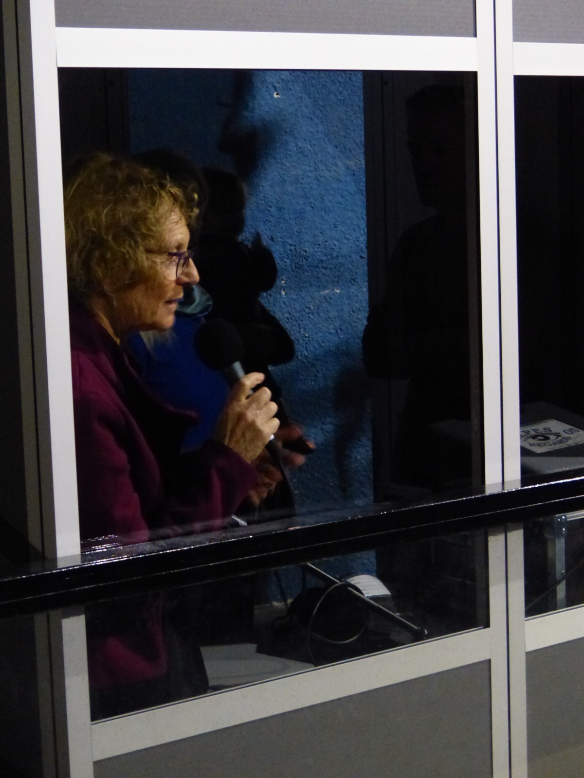 Bouche à Oreille, audiodécrire le spectacle vivant