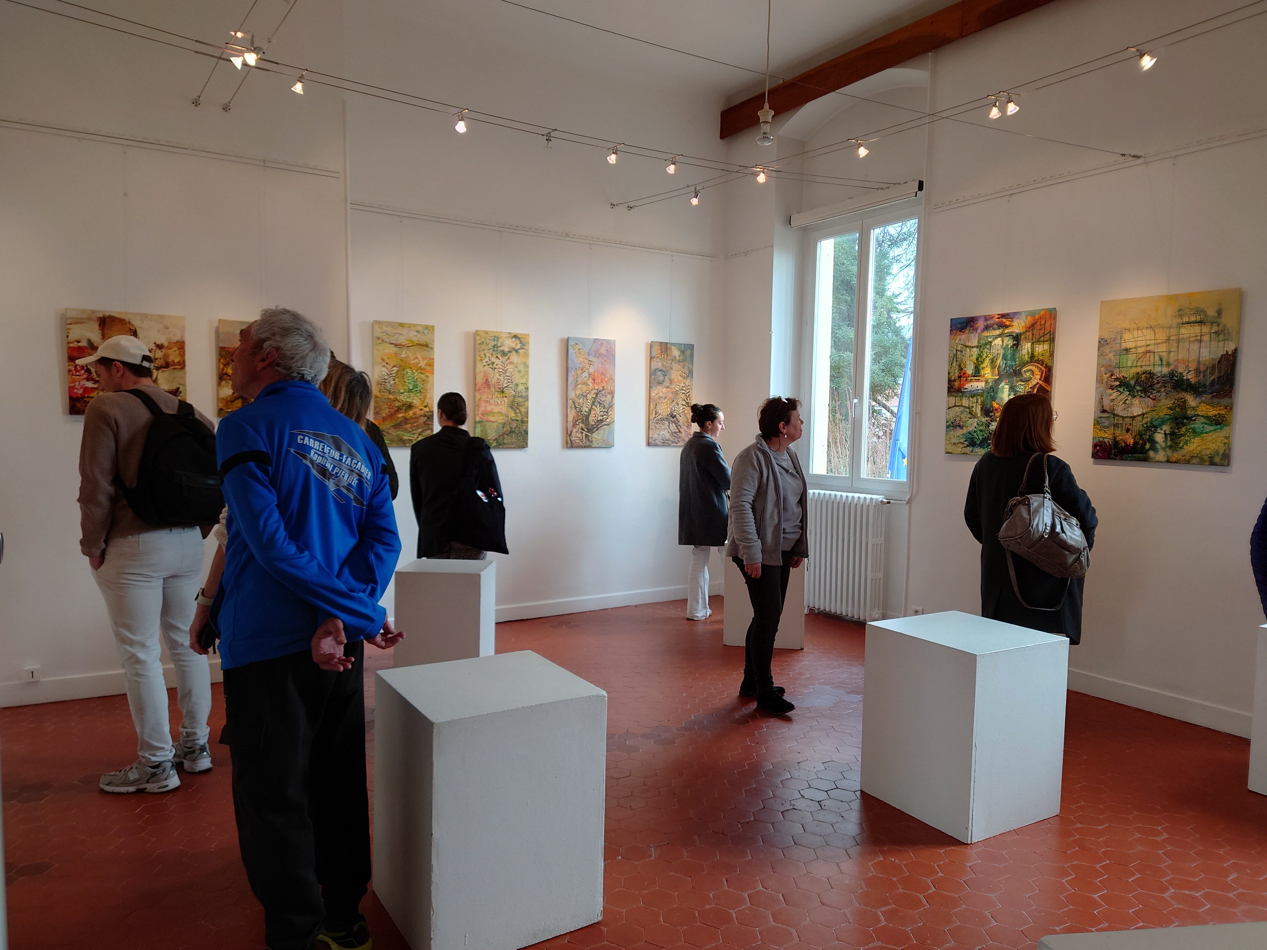 Vernissage de l'exposition "Résolument séries" par Isabelle Ducastaing, à l'INSPE de Digne-les-Bains