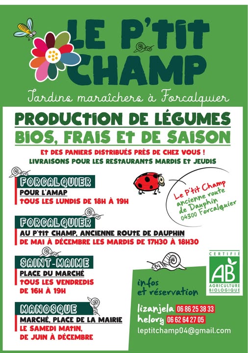 L’AMAP : Un engagement pour soutenir une agriculture locale, bio et paysanne  !