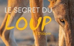 Le secret du loup d'Ethiopie avec Baptiste Deturche, Dans le mag "A la bonne heure !" - 09/12/2025