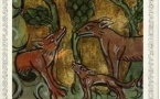 Renard, renart ou goupil ?