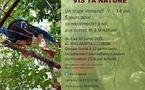 Stage immersif et stimulation cognitive au Mas Amrita à Sisteron