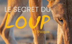 Le secret du loup d'Ethiopie avec Baptiste Deturche, Dans le mag "A la bonne heure !" - 09/12/2025