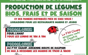 L’AMAP : Un engagement pour soutenir une agriculture locale, bio et paysanne  !