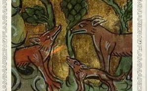 Renard, renart ou goupil ?