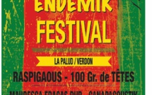 ENDEMIK festival : du reggae dans les gorges du Verdon !