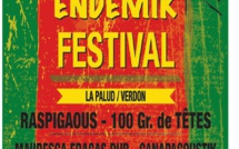 ENDEMIK festival : du reggae dans les gorges du Verdon !