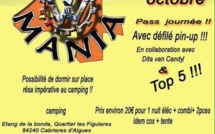 Combis et autres coccinelles, les amateurs de Volkswagen ont rendez-vous dans le Luberon