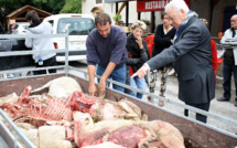 Un troupeau de moutons sauvagement attaqué à Authon