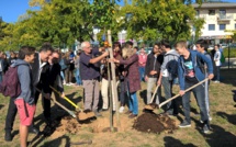 45 ans d’amitié franco-allemande célébrés à Manosque