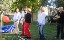 Un olivier pour symboliser l’amitié franco-allemande au lycée Esclangon