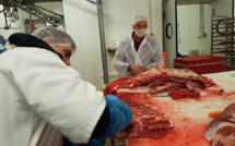 Abattoir de Digne : produit, abattu et consommé localement !