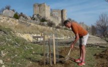 Village perché du Haut-Var, Bargème embellit ses restanques de plantations rustiques