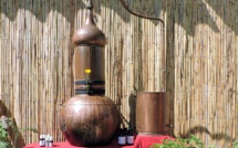 Découvrons les hydrolats de l’Adoux