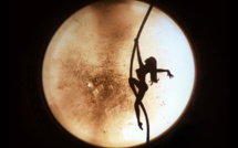 « Dark Circus », un magnifique monde imaginaire à découvrir les jeudi 6 et vendredi 7 avril au Théâtre Durance