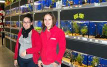 ce lundi c'est chasse aux oeufs de  paques au bricomarché de peipin