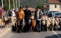 Vinon-sur-Verdon étape clé de la transhumance