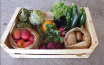 Des paniers bios et issus des circuits courts à Vinon