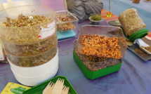 Sous le soleil dignois à la découverte de la richesse nutritive des graines germées