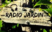 Radio Jardin du 08-08.2017