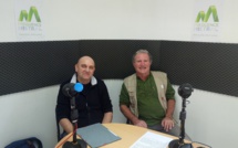 Partons à la rencontre des éléphants d'Asie 