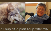 Le plan loup dans le viseur de France Nature Environnement
