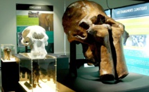 Les Mastodontes débarquent au Musée de préhistoire de Quinson
