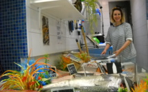 la Girelle de Jade frétille au pied de la citadelle…