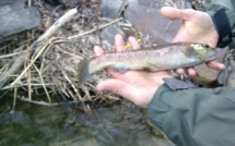 Gardez la ligne en pêchant dans les Hautes-Alpes !