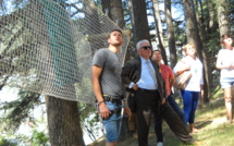 Des vacances sur un arbre perché !