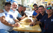 Dimanche, c’est plein soleil pour l’abricot de L’Escale !