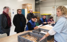 Référente handicap à l’assemblée nationale, Emmanuelle Fontaine-Domeizel a visité l’ESAT de Manosque