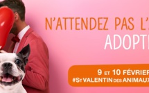 La SPA de Briançon va fêter la Saint-Valentin des Animaux