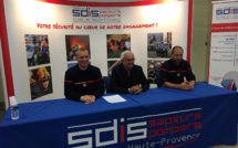 Abeilles, guêpes, frelons, les interventions des pompiers seront payantes