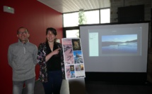 Des images libres mais pas sans droits