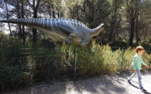 Raphaël a la passion des dinosaures