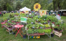 Le festival des plantes se tiendra à Mont Dauphin