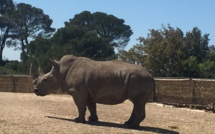  Une visite au Zoo de La Barben !