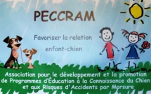 Comment mieux connaître les chiens ?