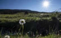 Venez faire le plein de sensations à Serre Chevalier cet été !