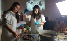 Une exposition performance de créatures mystérieuses 