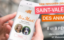 A la spa, Les animaux ont aussi le droit à leur Saint-Valentin