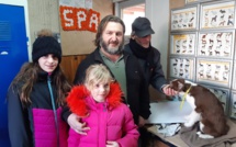 La saint valentin des animaux avait lieu ce week-end a la spa !