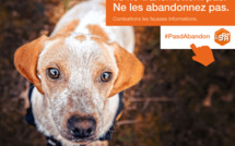 Un appel au bon sens de la Société Protectrice des Animaux pendant le COVID-19