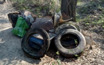 Nettoyer, réparer la nature