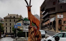 Un bouquetin sur un rond-point à Briançon !